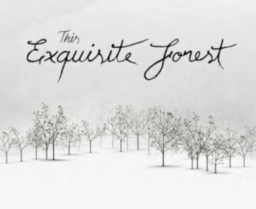 Exquisite-Forest
