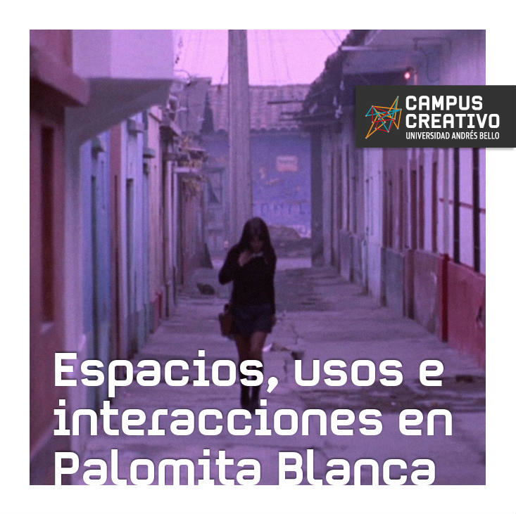 Palomita Blanca Campus Creativo